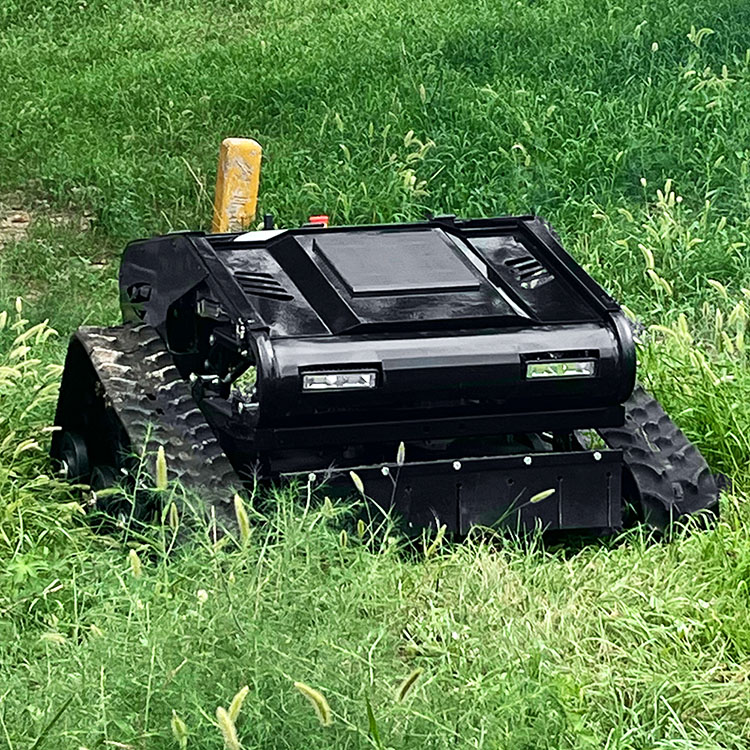 Çim biçme makinesi