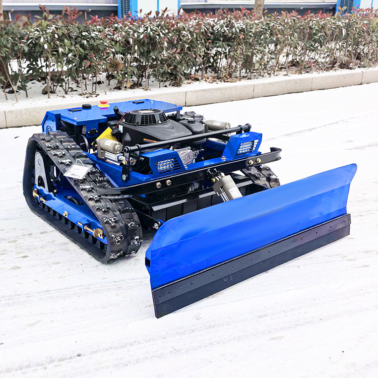 Küçük çim biçme makinesi