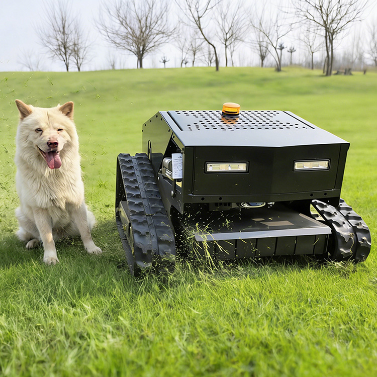 Satılık çim biçme makineleri