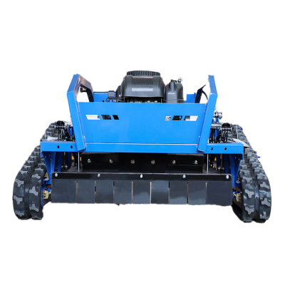RC1000S iyi çim biçme makineleri