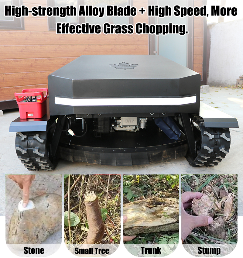 Çok Amaçlı Çim Biçme Makinesi.jpg